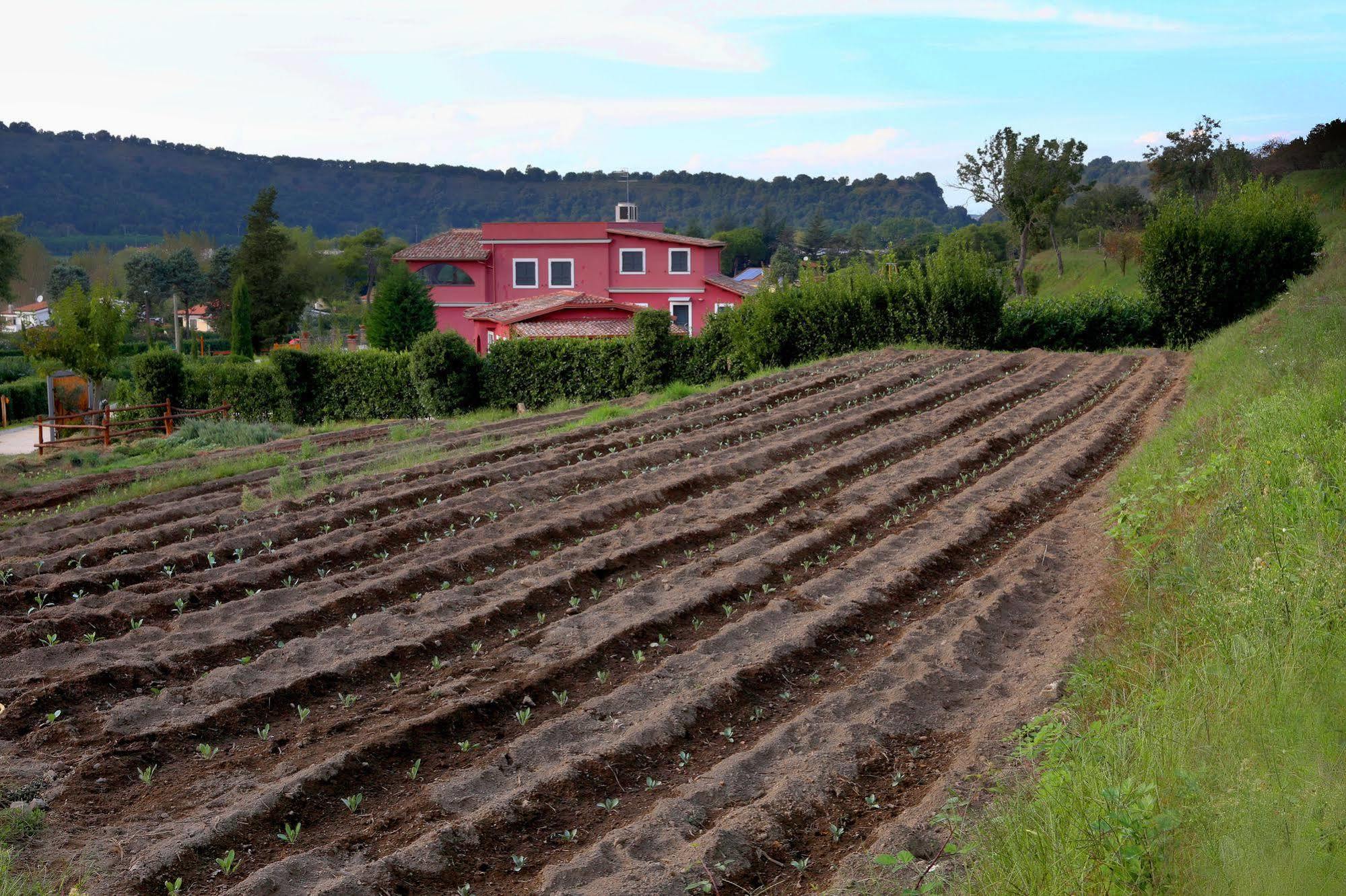 Agriturismo San Martino Pozzuoli Exterior foto