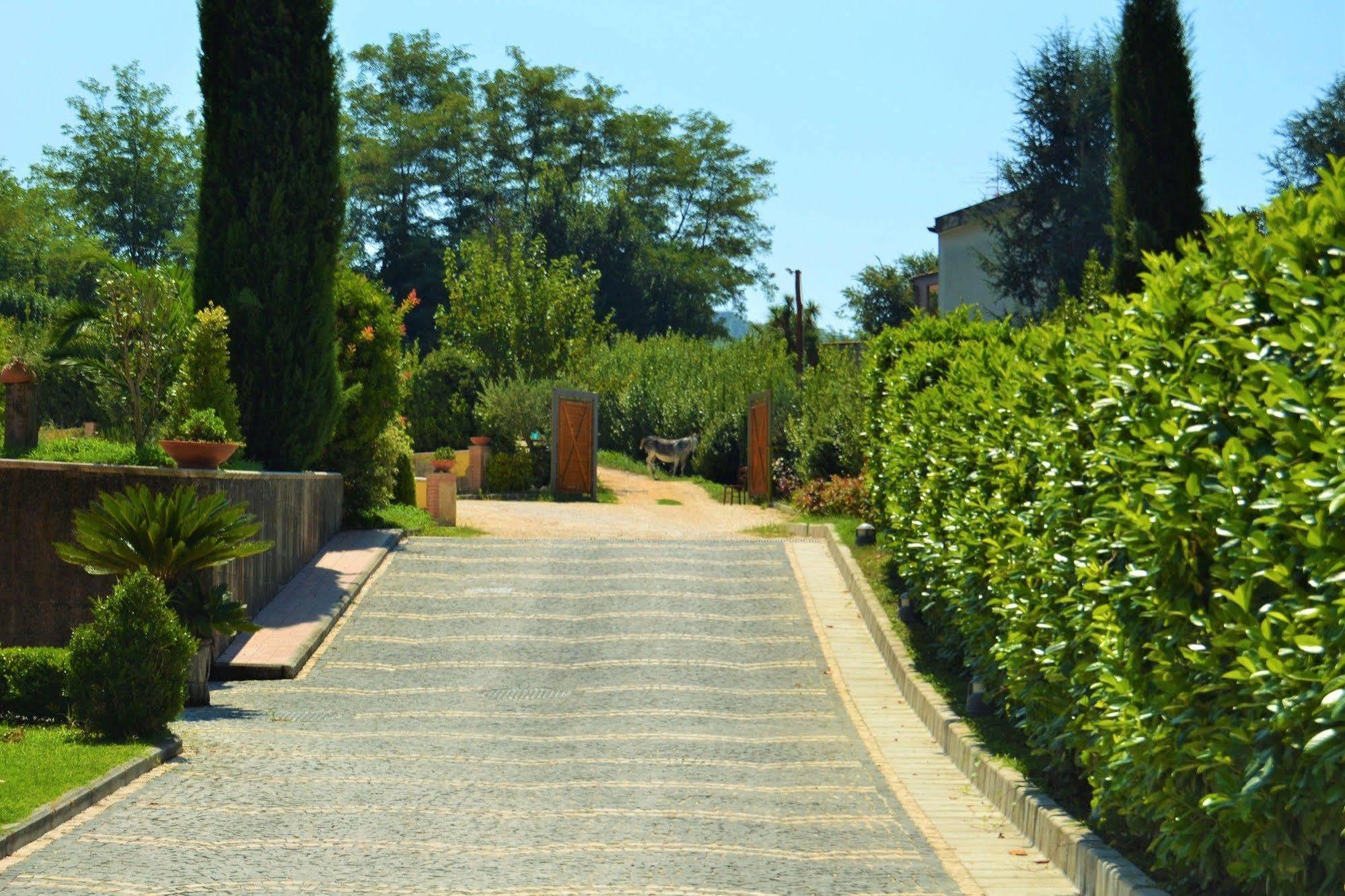 Agriturismo San Martino Pozzuoli Exterior foto